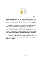 Referāts 'Sulu bāra tirgus izpēte', 27.