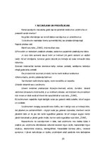 Referāts 'Sulu bāra tirgus izpēte', 28.