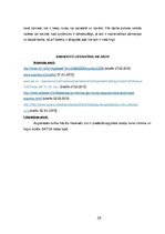 Referāts 'Sulu bāra tirgus izpēte', 29.