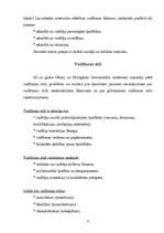 Referāts 'Vadīšanas stili', 4.