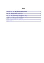 Paraugs 'Informācijas sistēmu pārvaldība. Pirmais praktiskais darbs', 2.