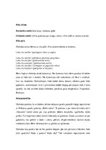 Konspekts 'Rotaļnodarbību plāns trīs dienām vienas nedēļas ietvaros. Mūzikas metodika', 2.