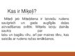 Prezentācija 'Miķeļdiena', 3.