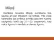 Prezentācija 'Miķeļdiena', 4.