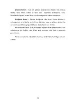 Referāts 'Florista darba vides ergonomisko risku izvērtējums', 13.