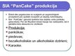 Prezentācija 'Biznesa plāna prezentācija "Pankūku kafejnīca "PanCake""', 17.