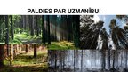 Prezentācija 'Mežs', 16.
