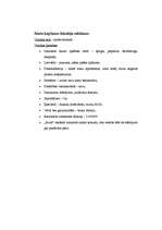 Referāts '50 dažādu žurnālu reklāmu analīze', 7.