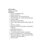 Referāts '50 dažādu žurnālu reklāmu analīze', 10.