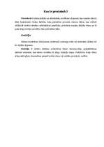 Konspekts 'Protokoli', 3.