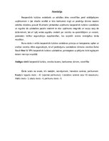 Referāts 'Korporatīvās kultūras uzlabošana viesnīcā Baltic Beach Hotel & SPA', 3.