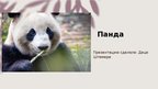 Prezentācija 'Панда', 1.