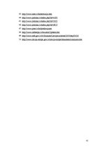 Diplomdarbs 'Pirms referenduma kampaņas par Latvijas iestāšanos Eiropas Savienībā sabiedrisko', 61.