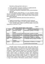 Referāts 'Latvijas Centrālās bankas loma tirgus ekonomikā', 4.