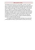 Eseja 'Mans pasaules uzskats', 2.