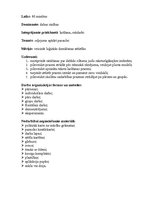 Konspekts 'Integrētās nodarbības konspekts 4.klasei "Ceļojums apkārt pasaulei"', 1.