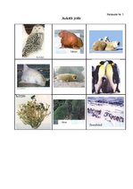 Konspekts 'Integrētās nodarbības konspekts 4.klasei "Ceļojums apkārt pasaulei"', 8.