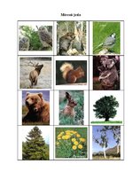 Konspekts 'Integrētās nodarbības konspekts 4.klasei "Ceļojums apkārt pasaulei"', 9.