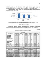 Diplomdarbs 'Jaunu pakalpojumu ieviešanas projekts', 14.