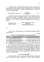 Diplomdarbs 'Jaunu pakalpojumu ieviešanas projekts', 18.