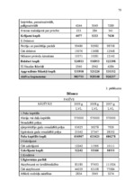 Diplomdarbs 'Jaunu pakalpojumu ieviešanas projekts', 79.