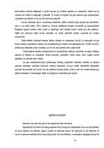 Referāts 'Rasisms un tā izpausmes Latvijā', 23.