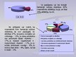Prezentācija 'Medicīnas darbinieku un pacientu attieksme pret farmācijā ražotiem vitamīniem', 7.