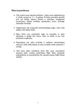 Biznesa plāns 'SIA "Sky" projekts - interneta klubs "Online"', 2.