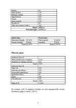 Biznesa plāns 'SIA "Sky" projekts - interneta klubs "Online"', 8.