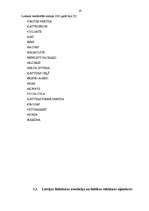 Referāts 'Reklāmas tirgus Latvijā', 19.