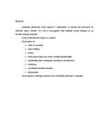 Paraugs 'Zinātniski pētnieciskā darba noformējums', 3.