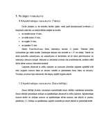 Paraugs 'Zinātniski pētnieciskā darba noformējums', 4.