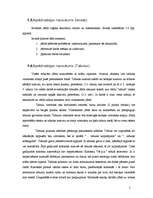 Paraugs 'Zinātniski pētnieciskā darba noformējums', 5.