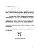 Paraugs 'Zinātniski pētnieciskā darba noformējums', 8.