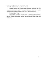 Paraugs 'Zinātniski pētnieciskā darba noformējums', 11.