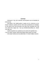 Referāts 'Datorvīrusu klasifikācija', 2.