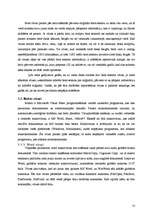 Referāts 'Datorvīrusu klasifikācija', 13.