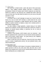 Referāts 'Datorvīrusu klasifikācija', 14.