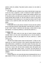 Referāts 'Datorvīrusu klasifikācija', 17.