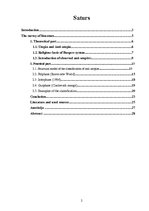 Referāts 'Anti - Utopias According to Antony Burgess ', 2.