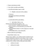 Referāts 'Finanses un nodokļi', 13.