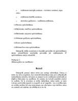 Referāts 'Finanses un nodokļi', 14.