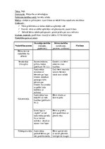 Konspekts 'Integrētā nodarbība 1,5 līdz 3 gadus veciem bērniem ar mājturības dominanti', 1.