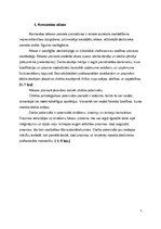 Referāts 'Vadītāja sadarbības un komandas veidošanas kompetence uzņēmuma darbības efektivi', 5.