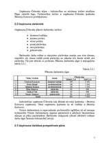 Biznesa plāns 'Biznesa plāns I/U “Čebureks”', 7.