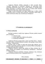 Biznesa plāns 'Biznesa plāns I/U “Čebureks”', 8.