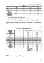 Biznesa plāns 'Biznesa plāns I/U “Čebureks”', 9.