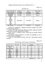 Biznesa plāns 'Biznesa plāns I/U “Čebureks”', 10.