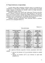 Biznesa plāns 'Biznesa plāns I/U “Čebureks”', 13.