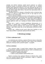 Biznesa plāns 'Biznesa plāns I/U “Čebureks”', 15.